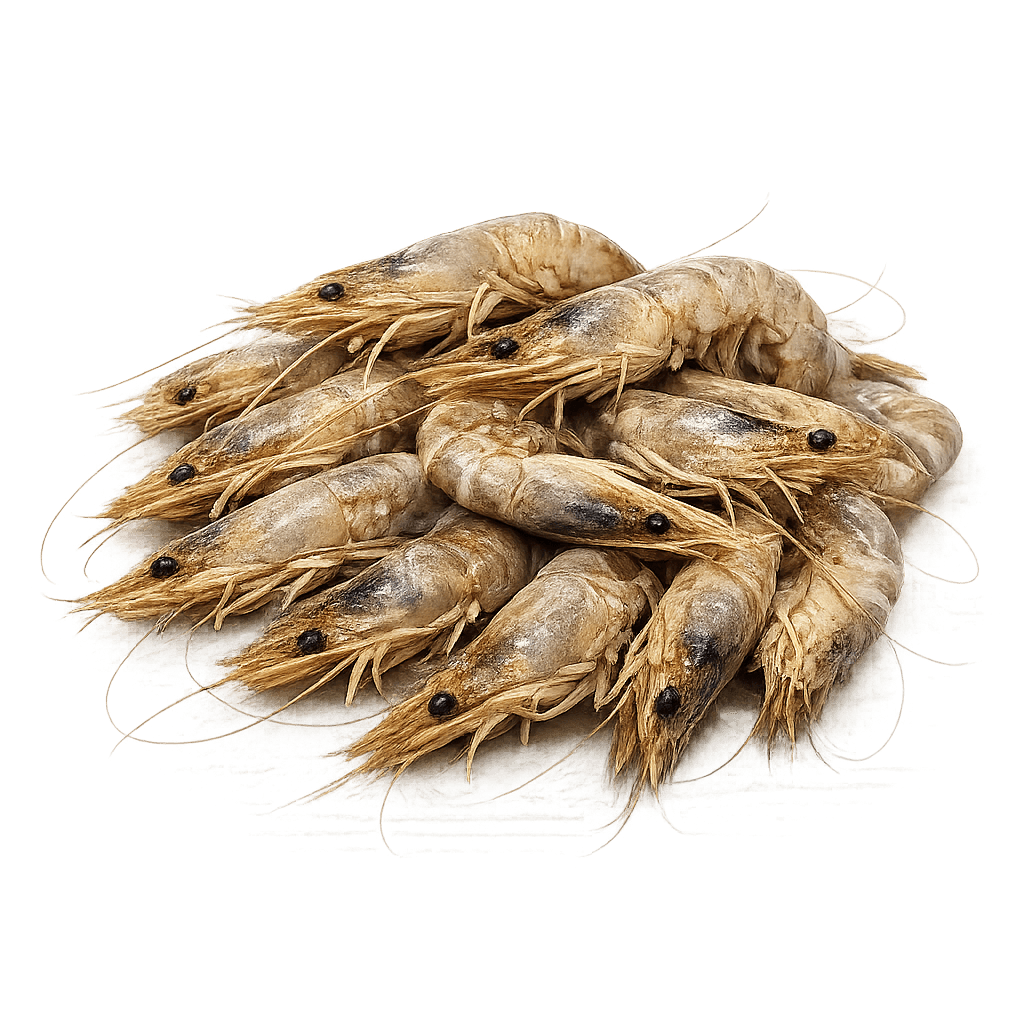 Crevettes grises